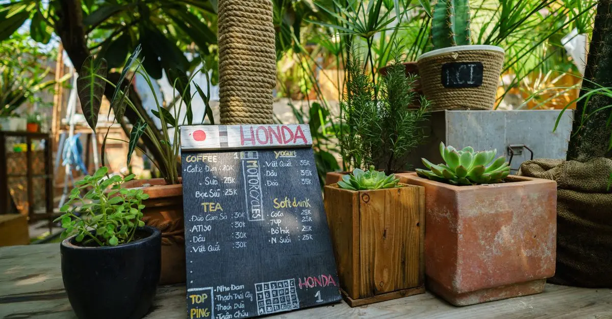 Les gadgets écologiques à privilégier pour un mode de vie durable