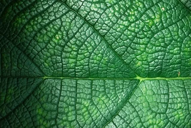 Les Meilleurs Gadgets Écologiques à Tester pour un Quotidien Durable