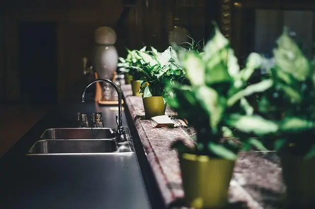 Revues des Meilleurs Gadgets de Cuisine à Tester Maintenant