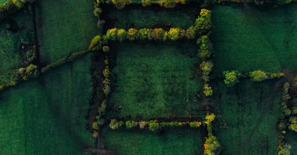 Comparatif des drones pour la photographie aérienne