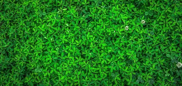 Top 10 des Gadgets Écologiques à Tester pour Réduire Votre Empreinte