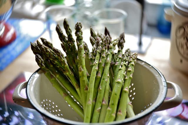 Les Meilleurs Gadgets de Cuisine à Tester pour Simplifier Votre Vie